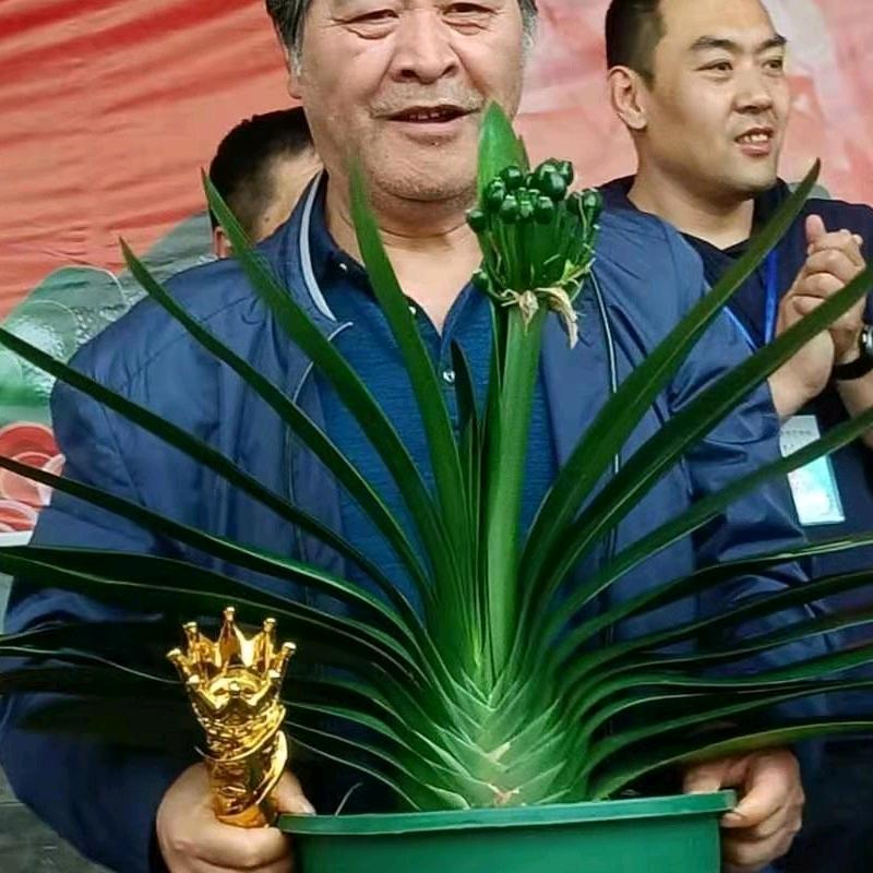 长春刘彤精品兰苑