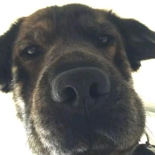 鸡爪不怎么香啊