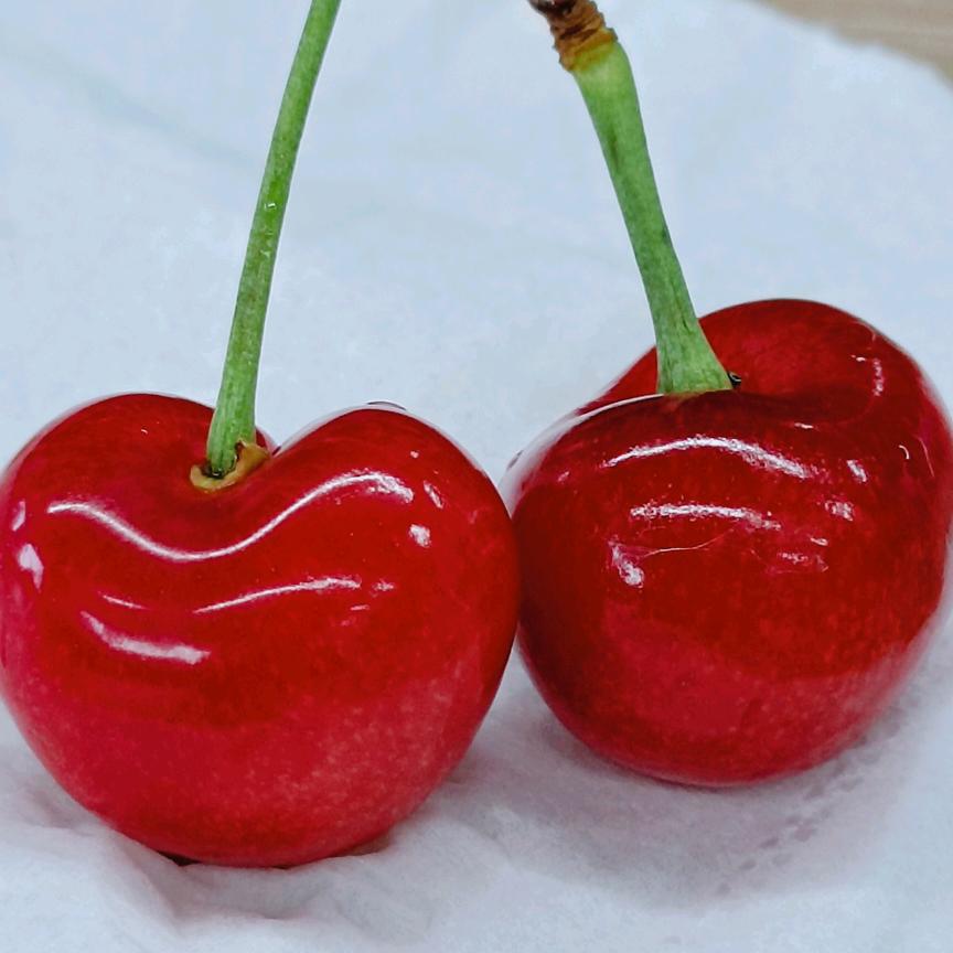 Yolo₍˄·͈༝·͈˄*₎◞ ̑̑