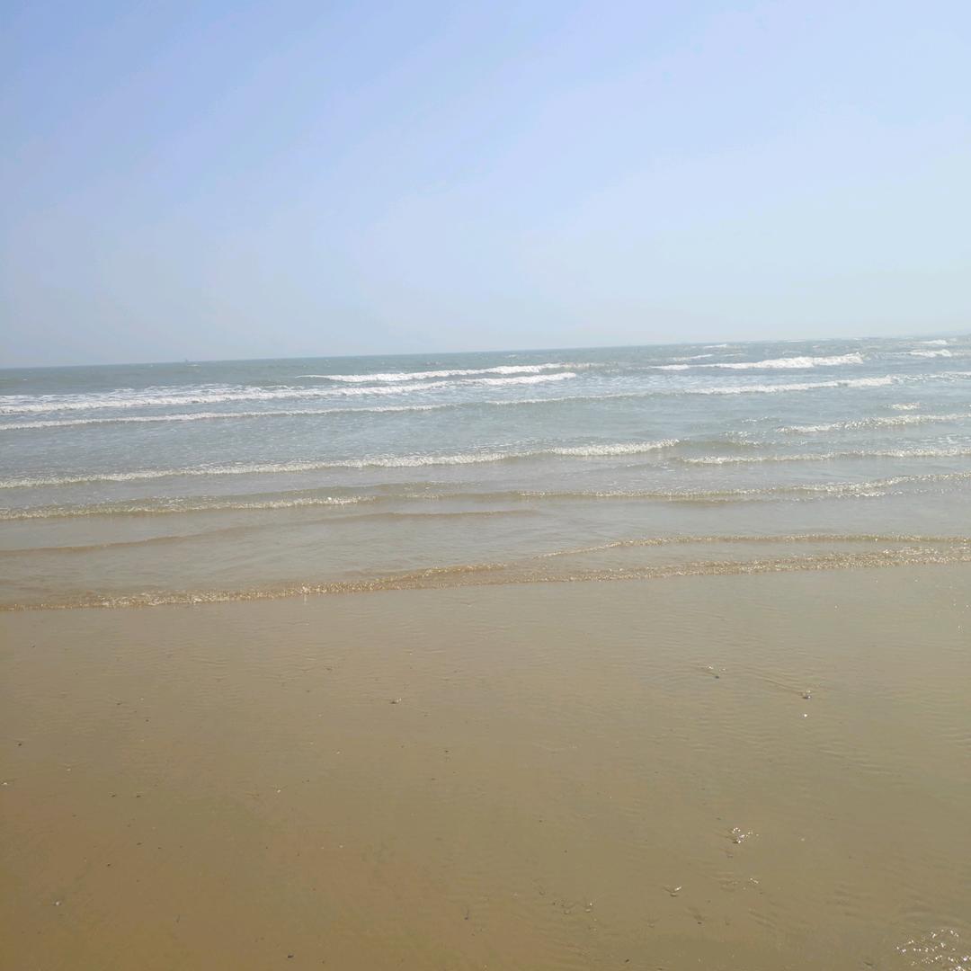 一页半纸