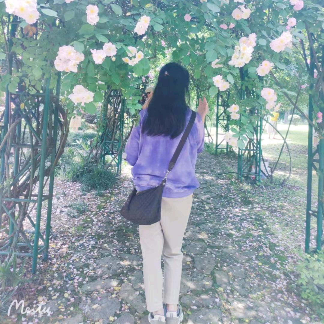 珊瑚Shanhu