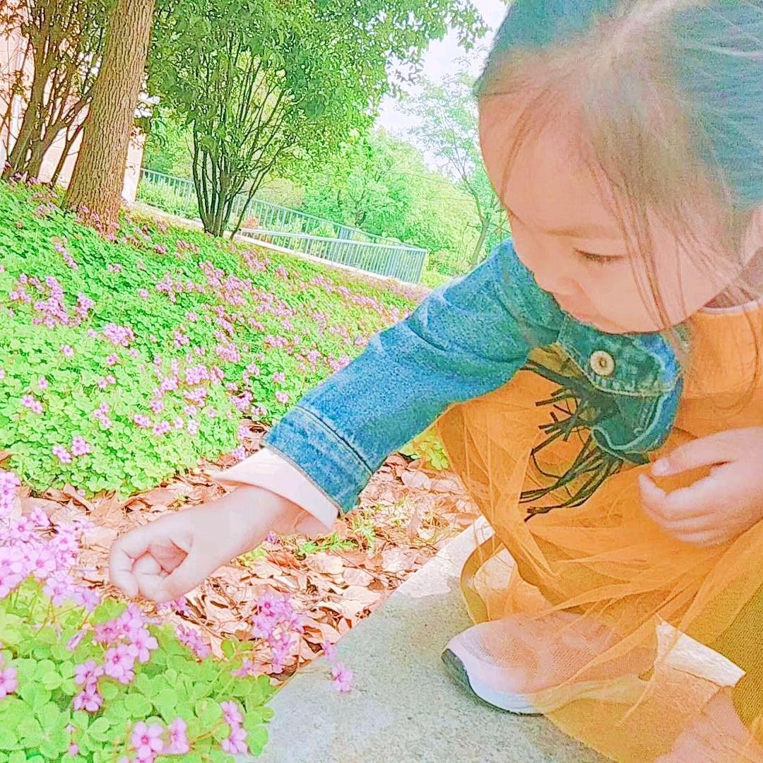 朵朵ww