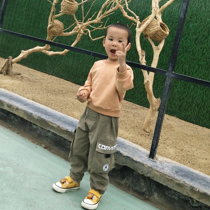 快乐泽宝