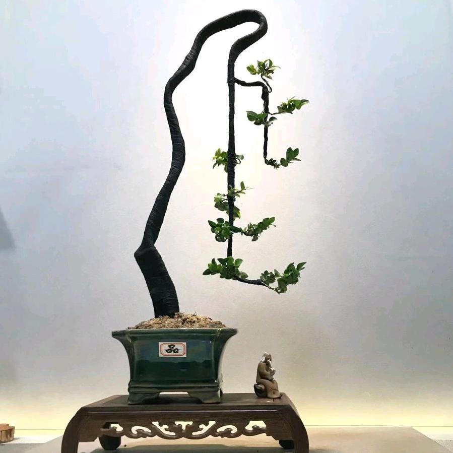 道人