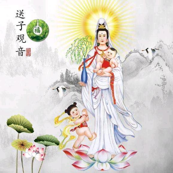 莲池（橱窗可求）