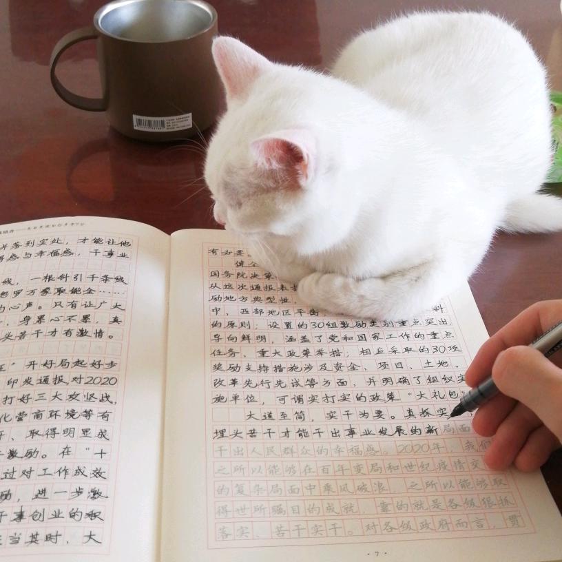 平常心^O^