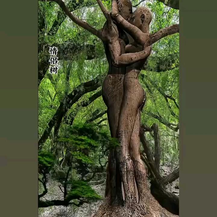 思念、