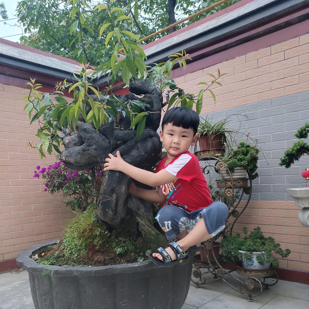 C.l. 欣欣园艺场