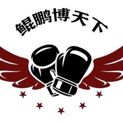 济宁鲲鹏搏击俱乐部（武敢当）