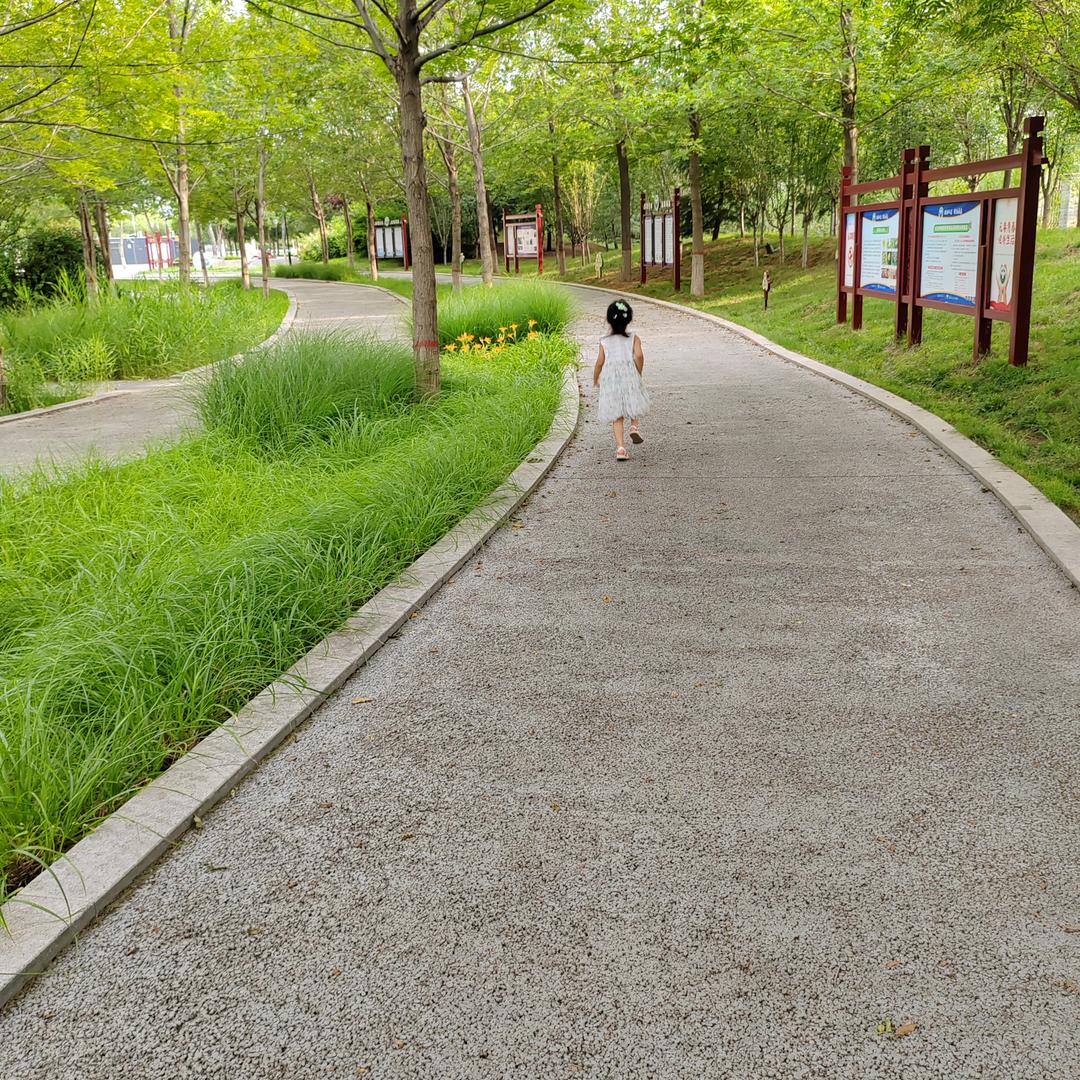 淄博巨龙二手车（燕子）