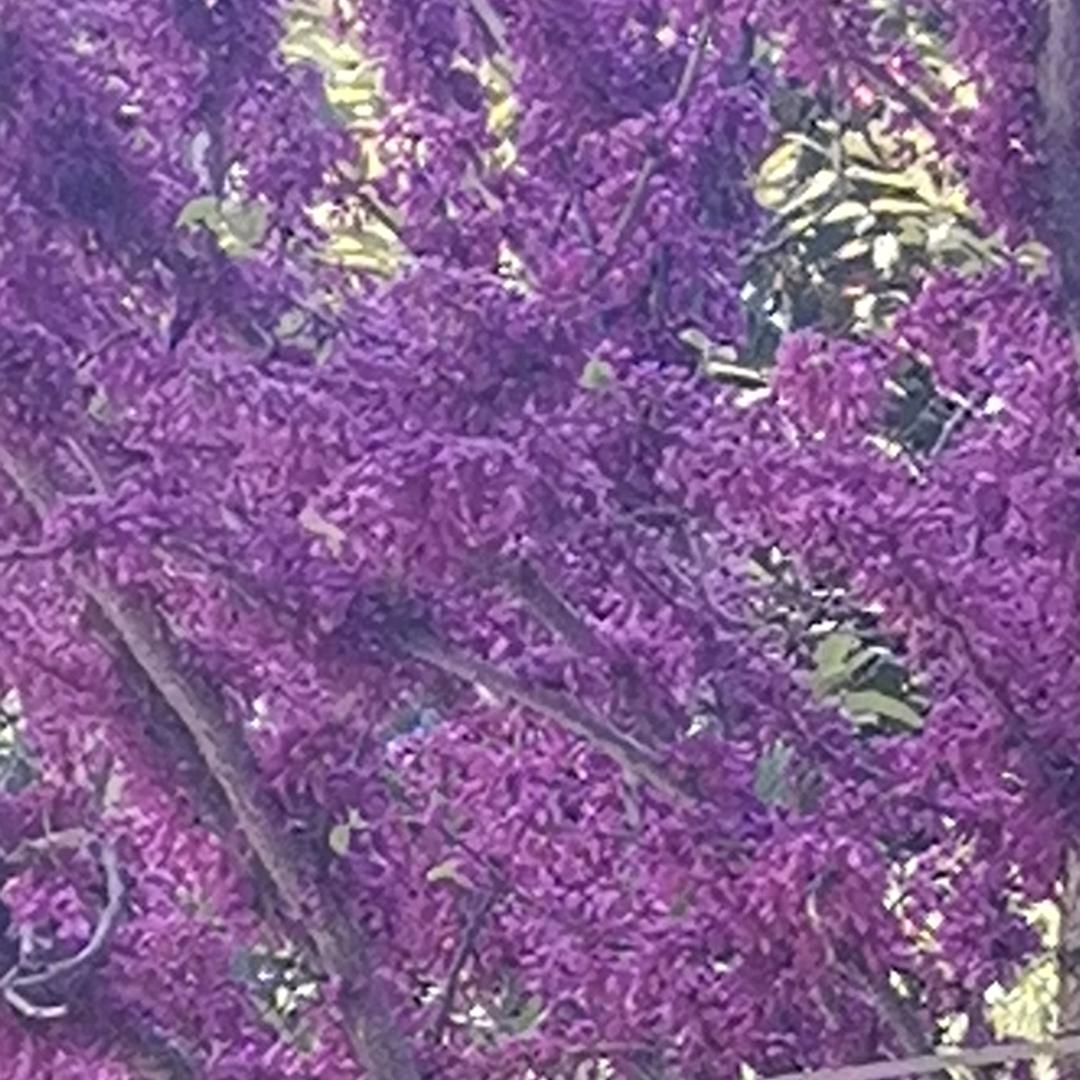 开心过好每一天