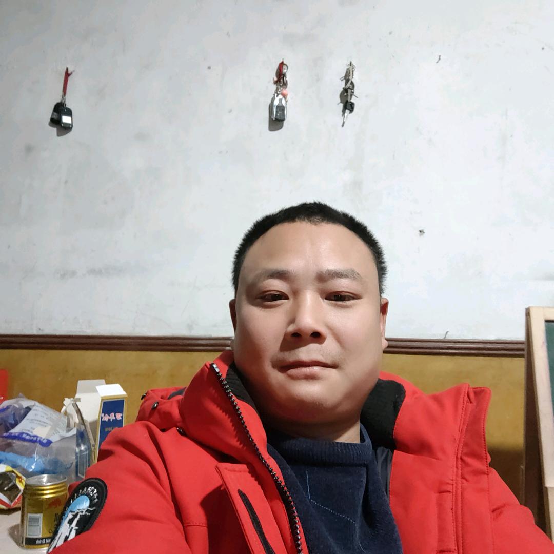 淡定，，汪