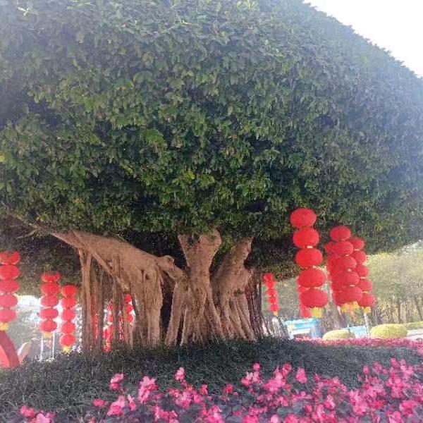 下一站