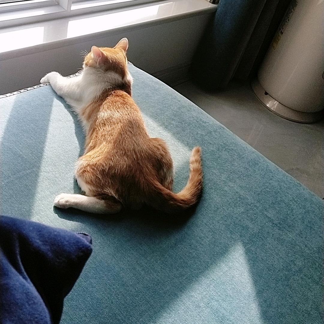 ☞财神爷心尖上的美丽富婆☜