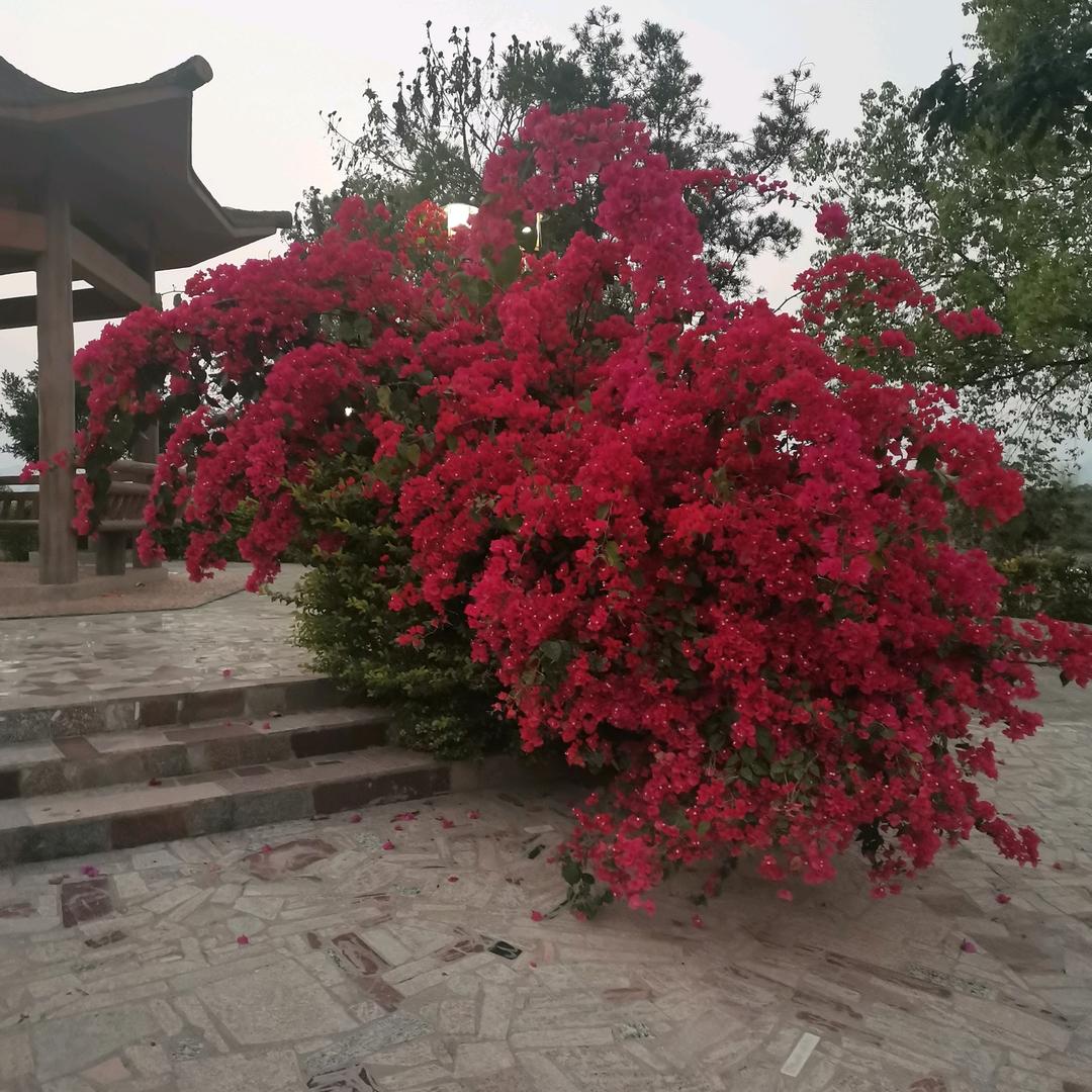 童年的回忆