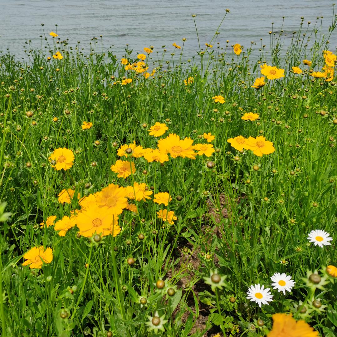 精密钢管～异型管～特殊合金钢～不锈铁