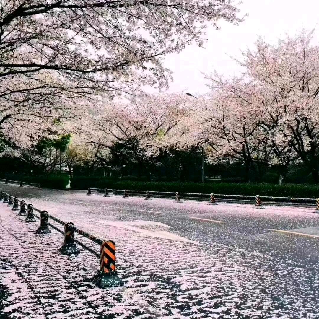 💫এ᭄念ꦿ