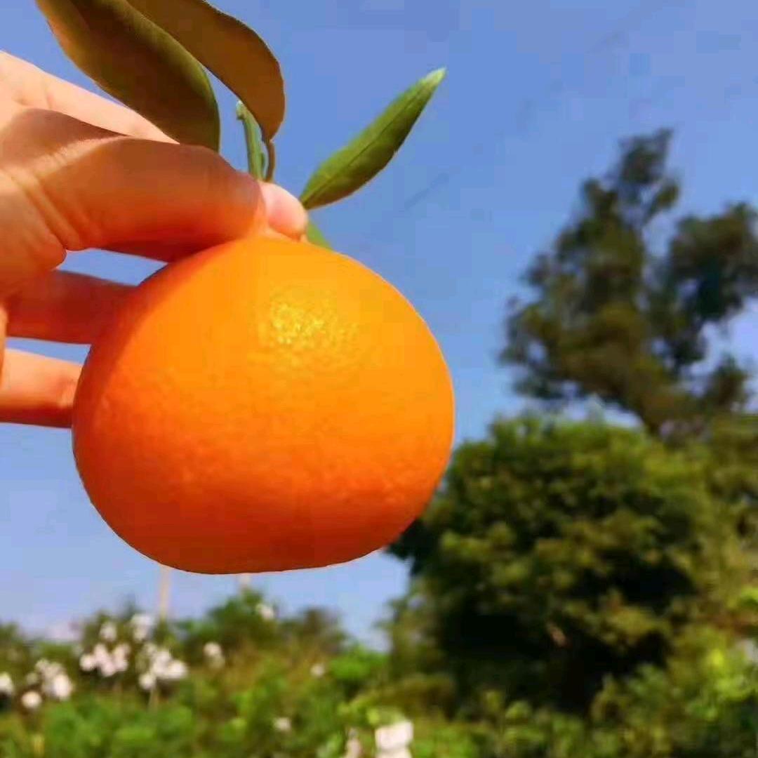 珍惜当下