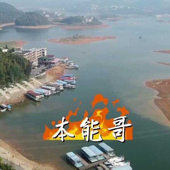 本能哥（航拍）