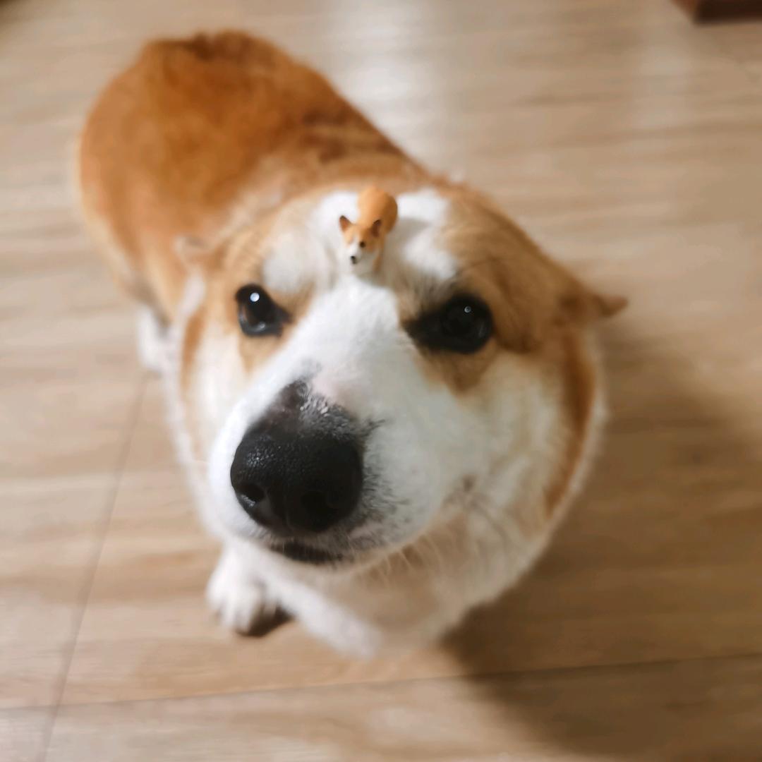 天天喝粥