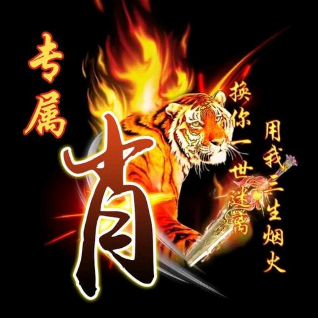肖少