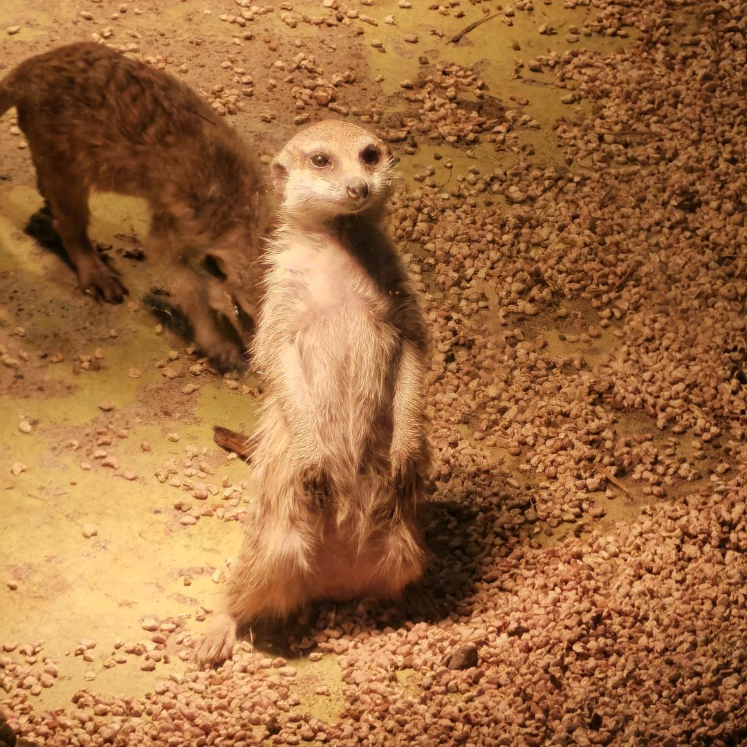 握住你的小手腕