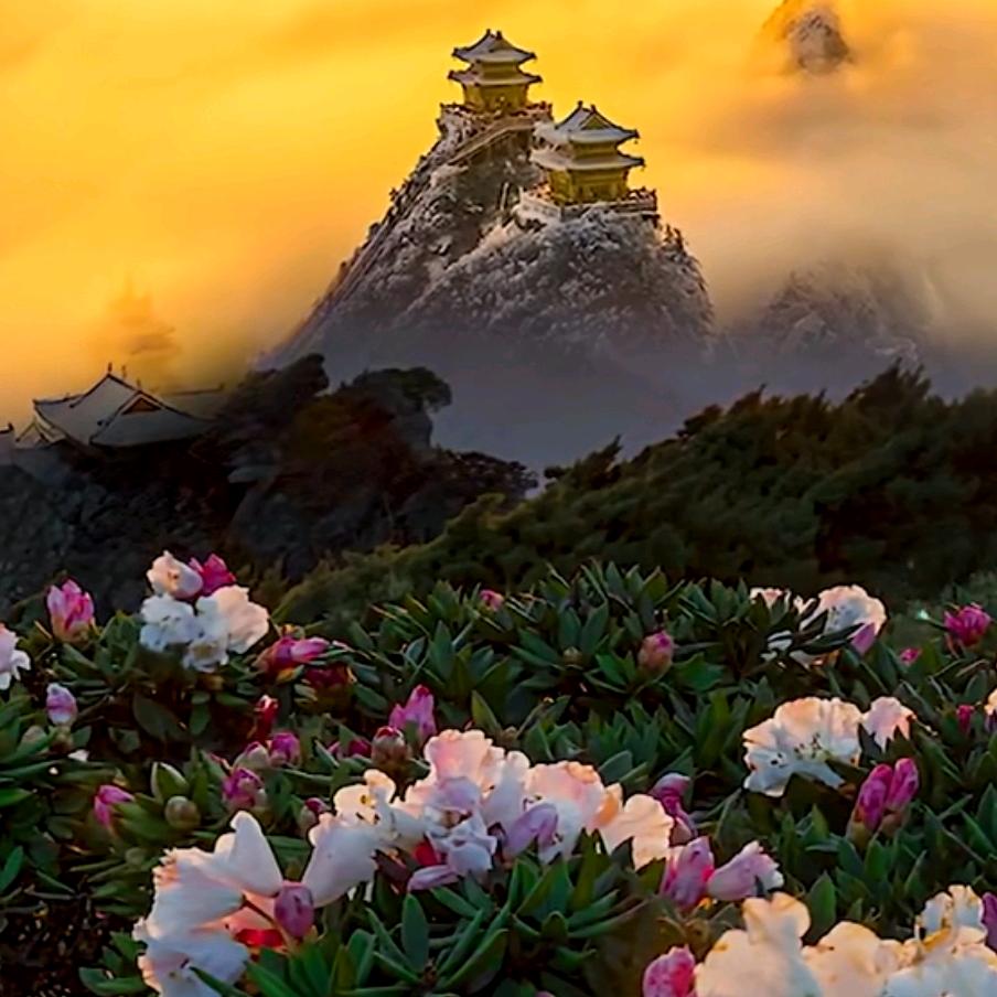 五常百村稻花香水稻🌾“”