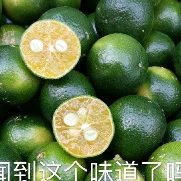 见贤思齐焉头像