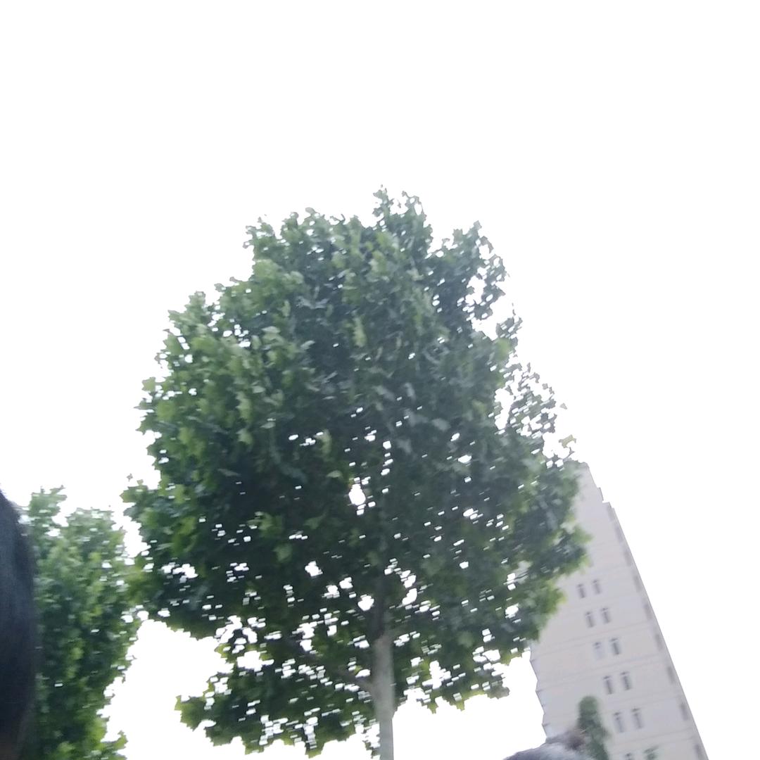 缘定今生