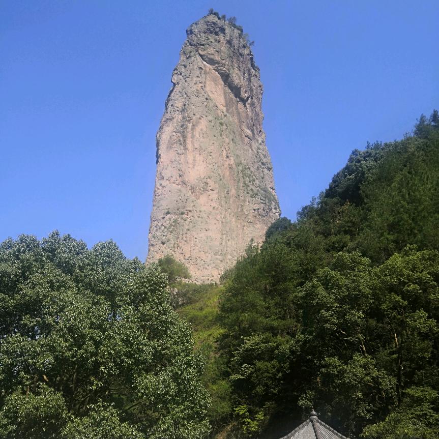 淳洁