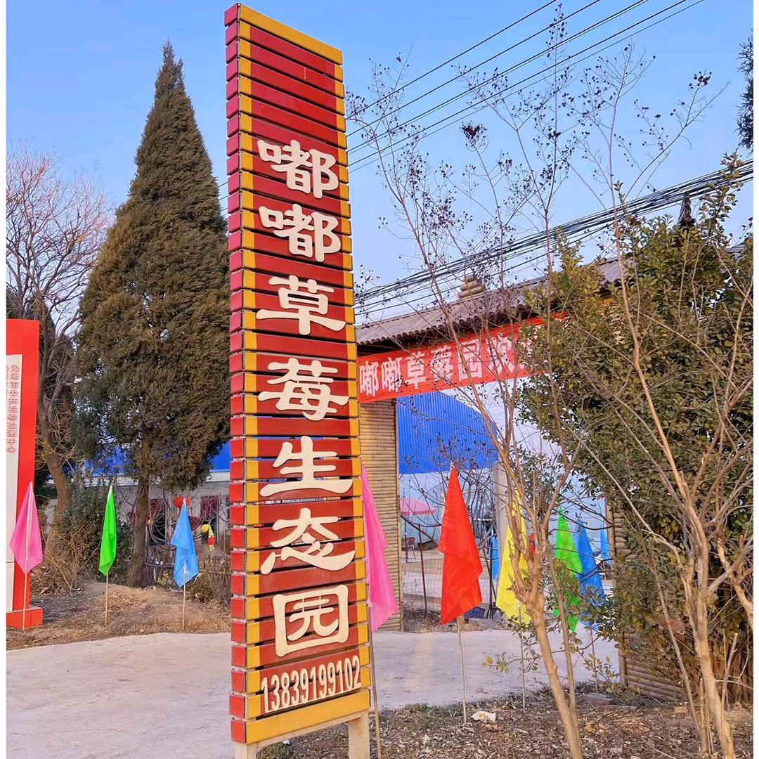 嘟嘟草莓生态园1