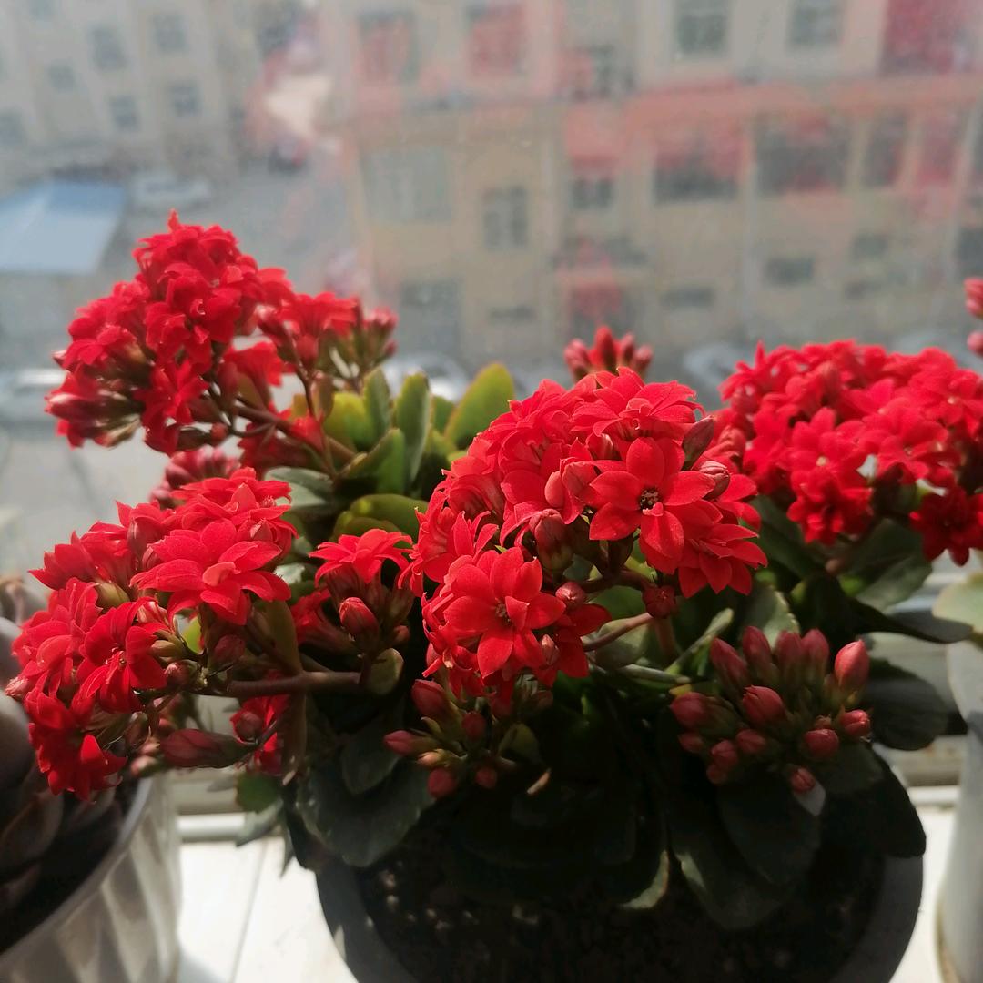 我…拒绝私聊