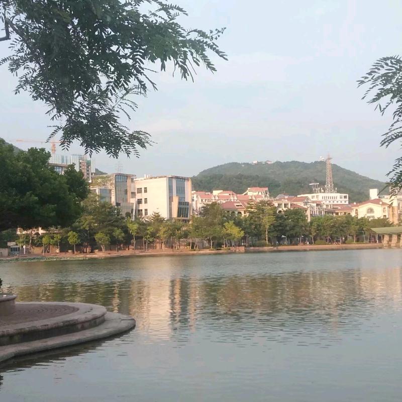 67的！羊生活日记！