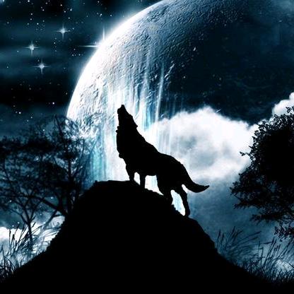 ╄→释૮₍°□°₎ა怀の