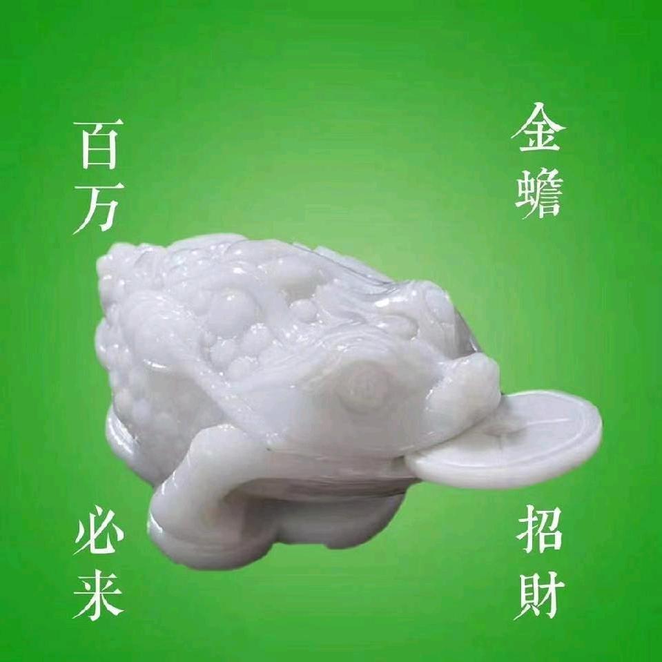 琼姐追剧