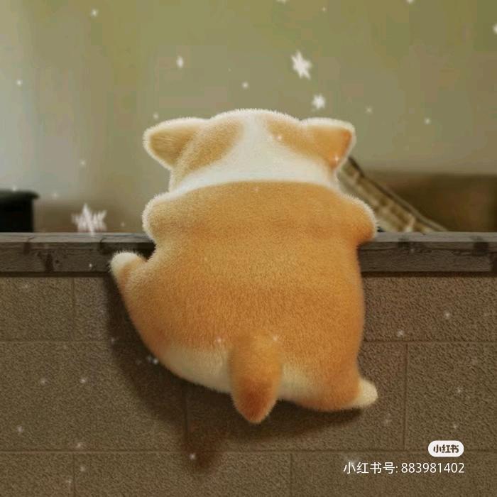 闲云烦风