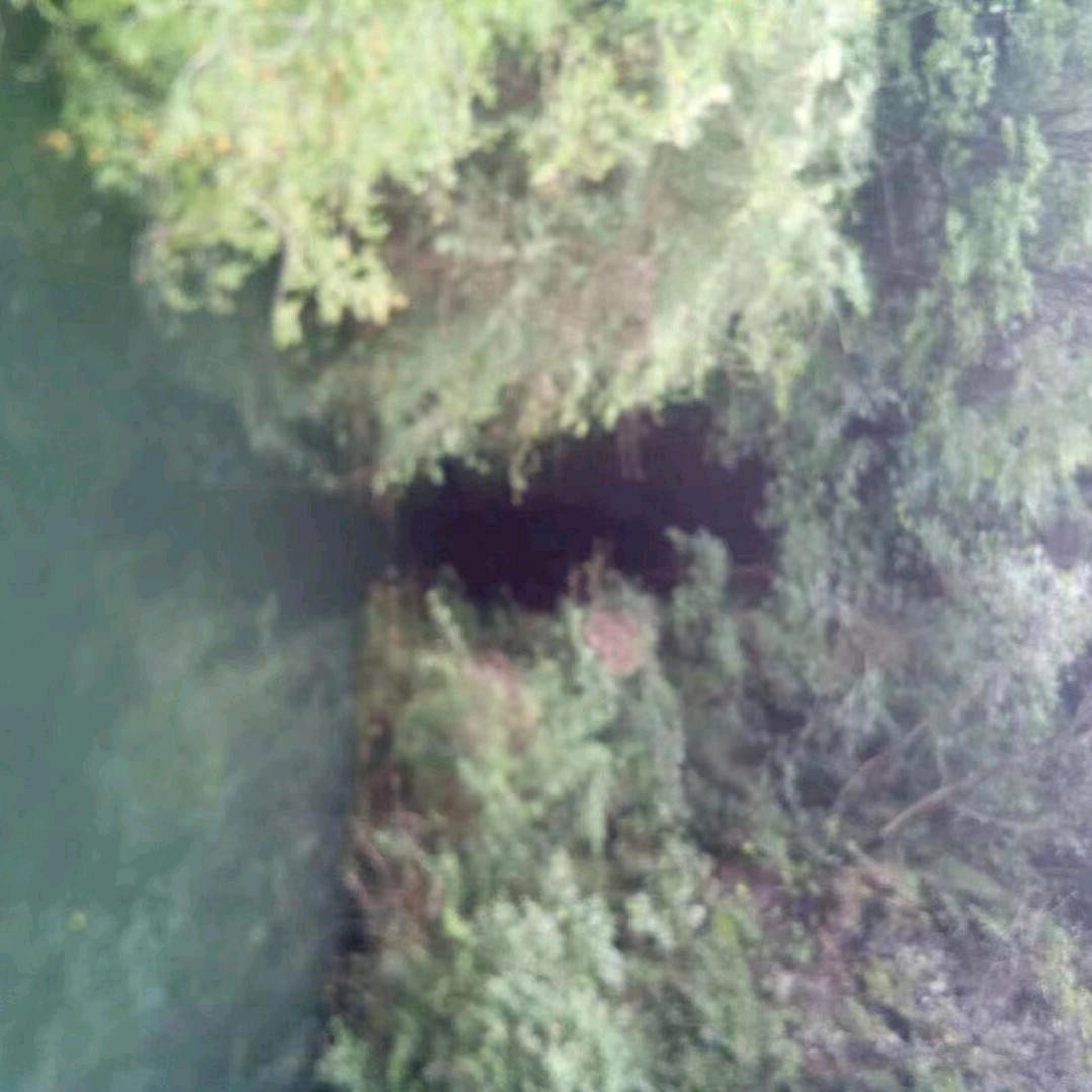 一切随缘用户MM13579