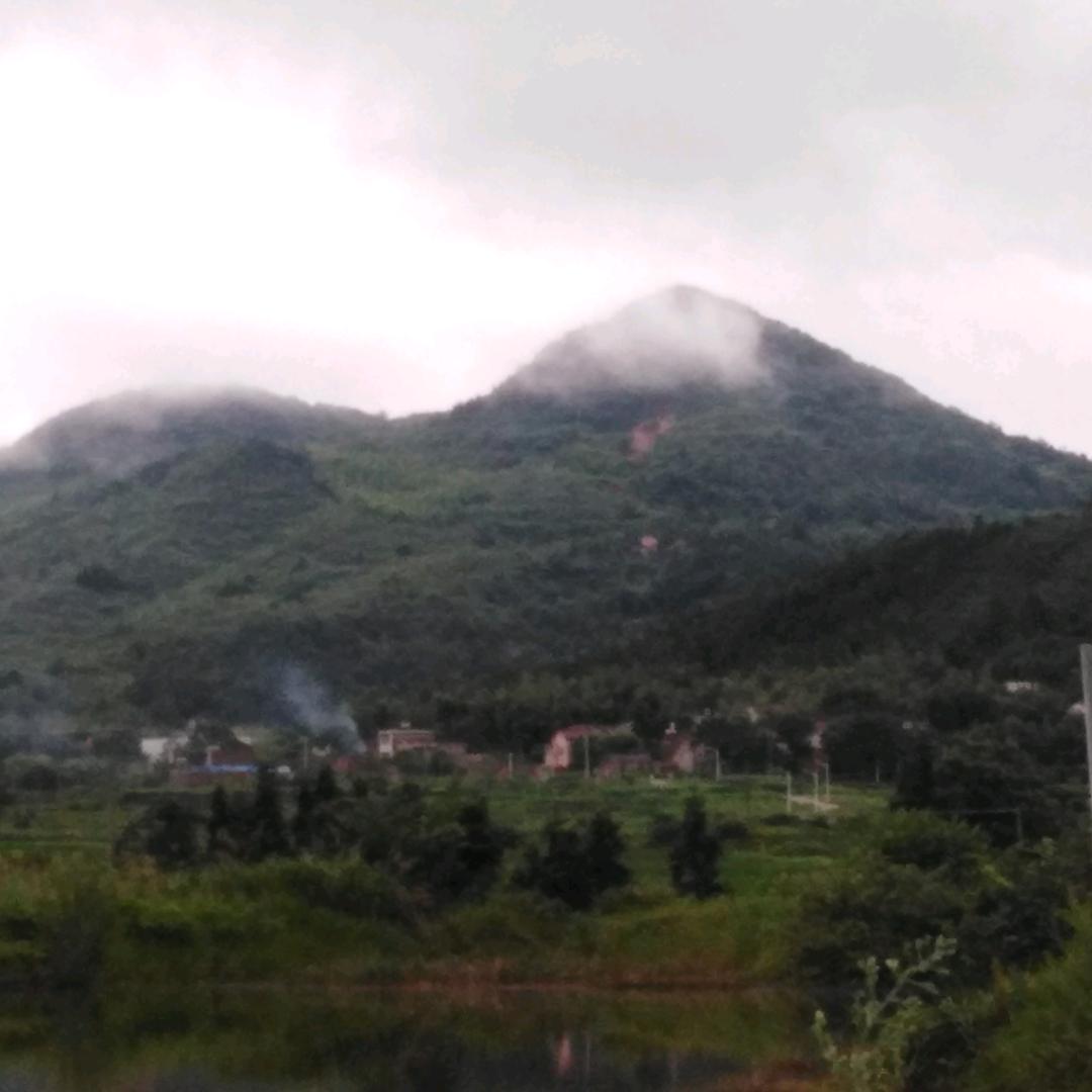 民公