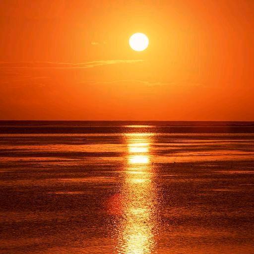 祥瑞吉庆180181102315