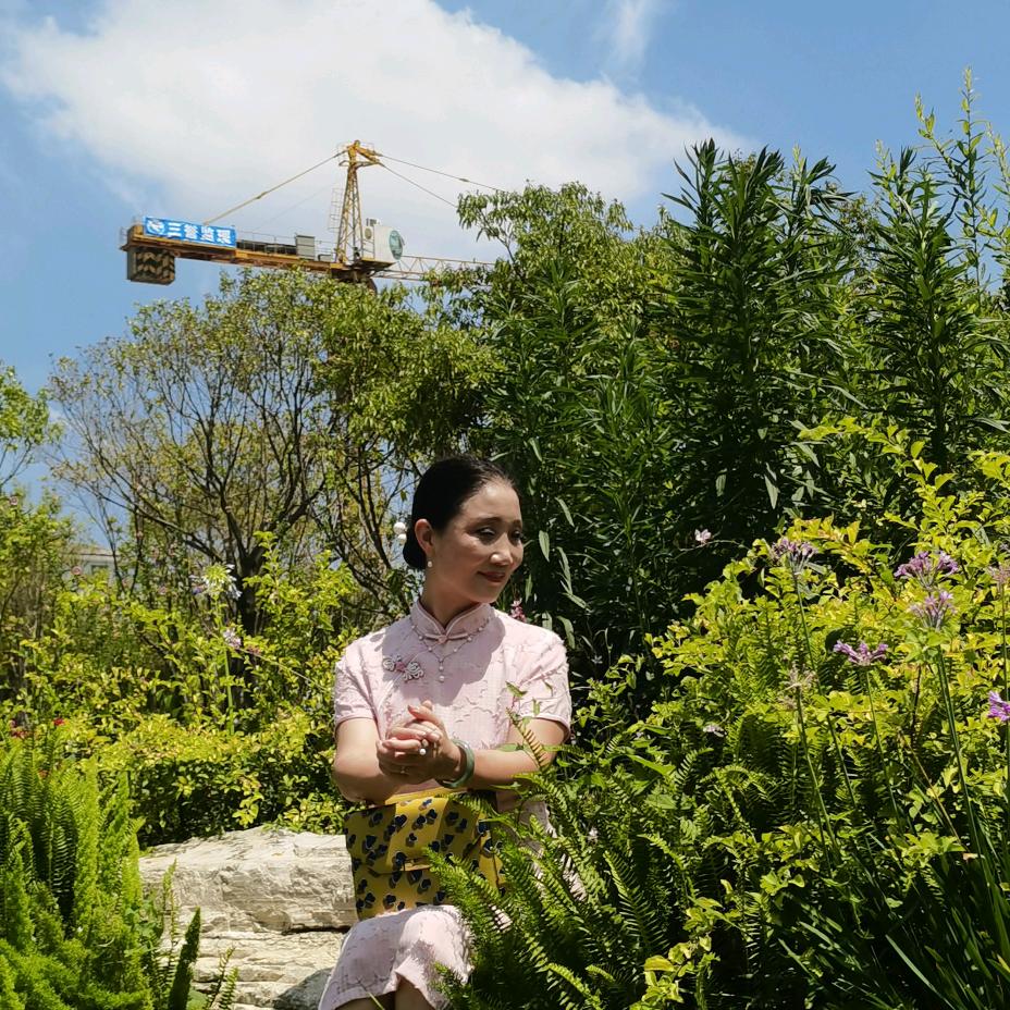 淡定阿姨