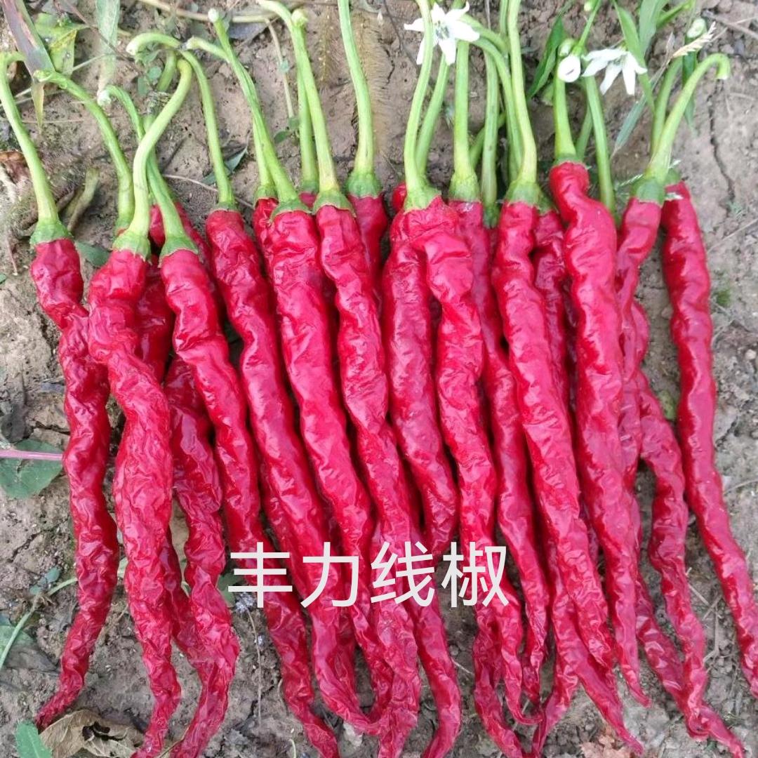 丰力农业