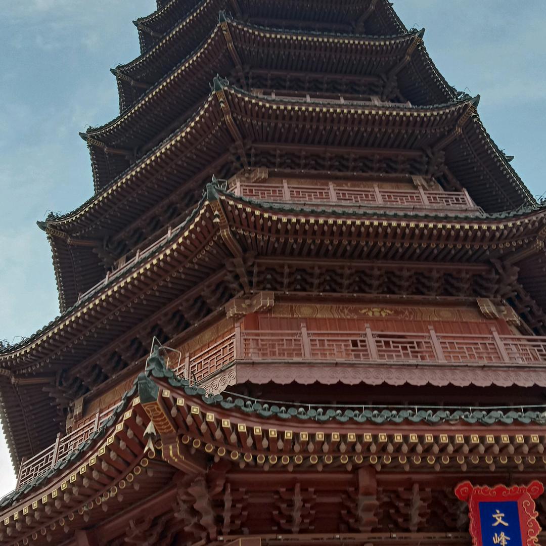 龙