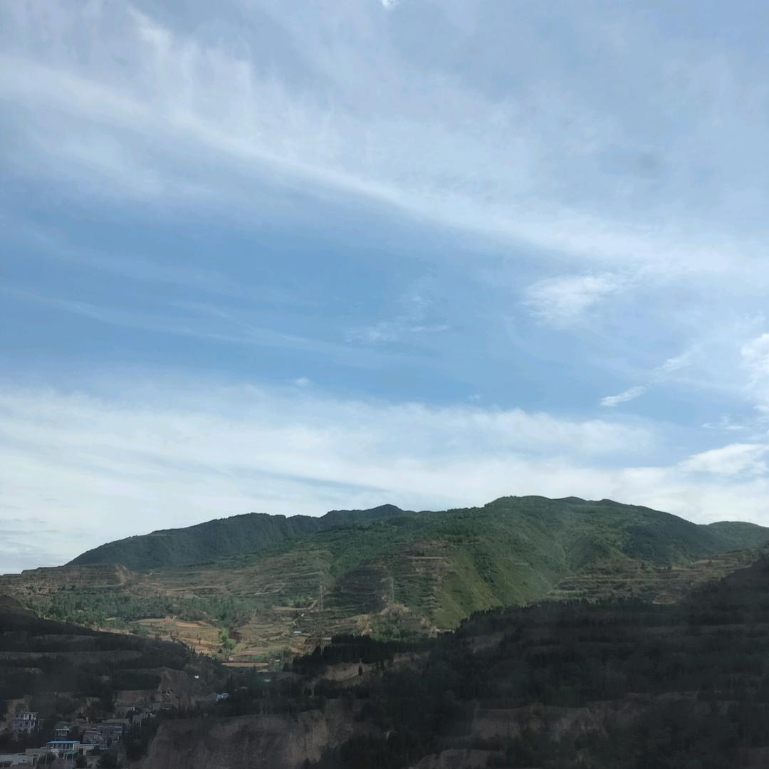 中华太极拳白鹤亮翅