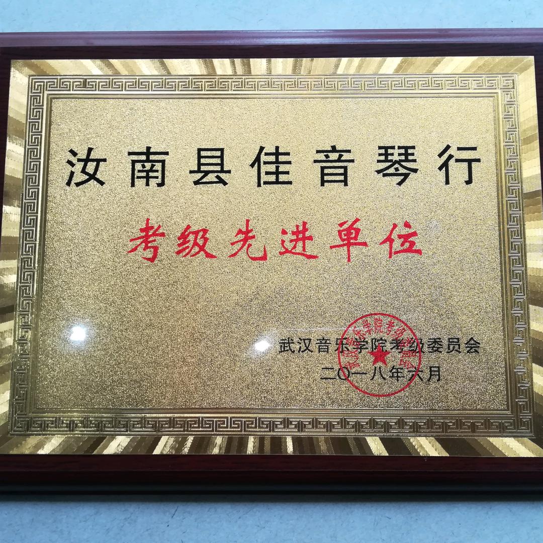 汝南县佳音琴行