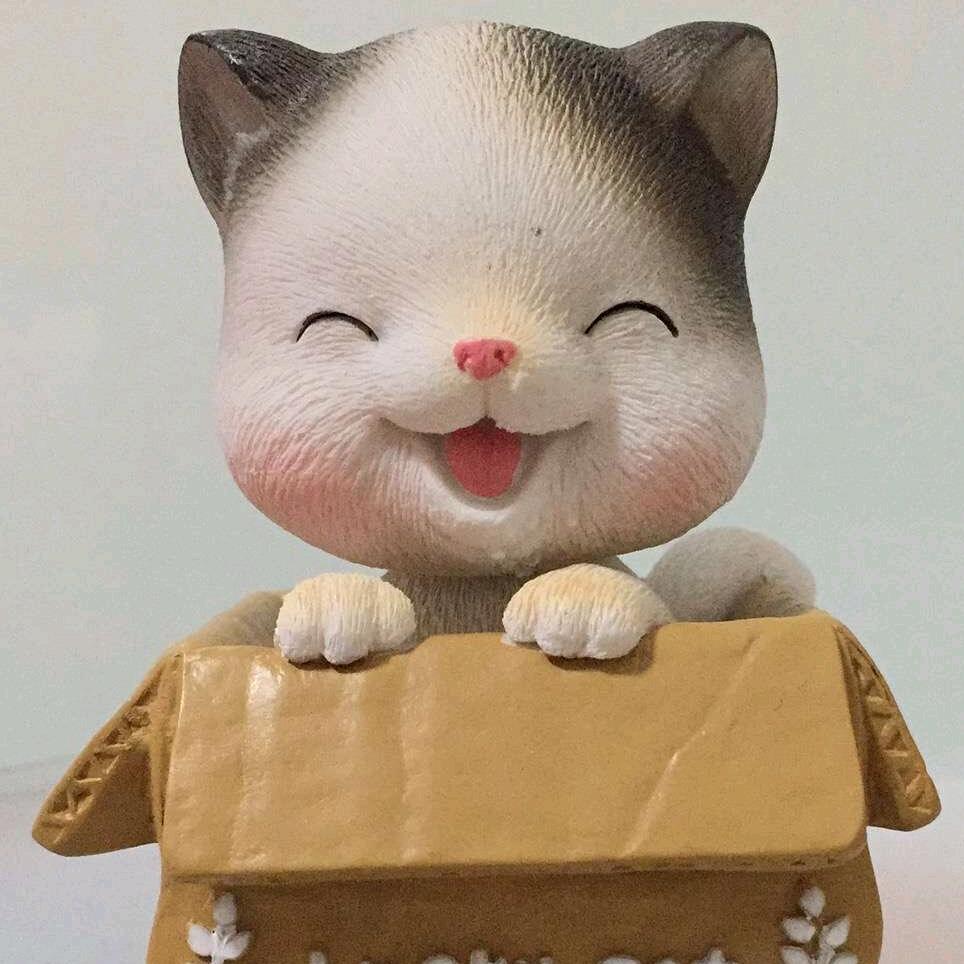 文艺中年陈