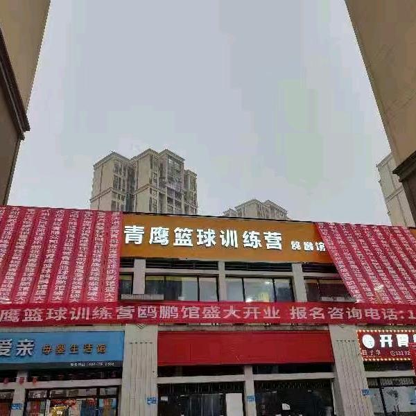 青鹰篮球训练营鸥鹏馆