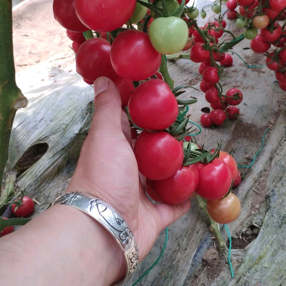 传说中的付大侠