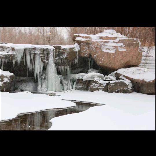 冰雪胡杨