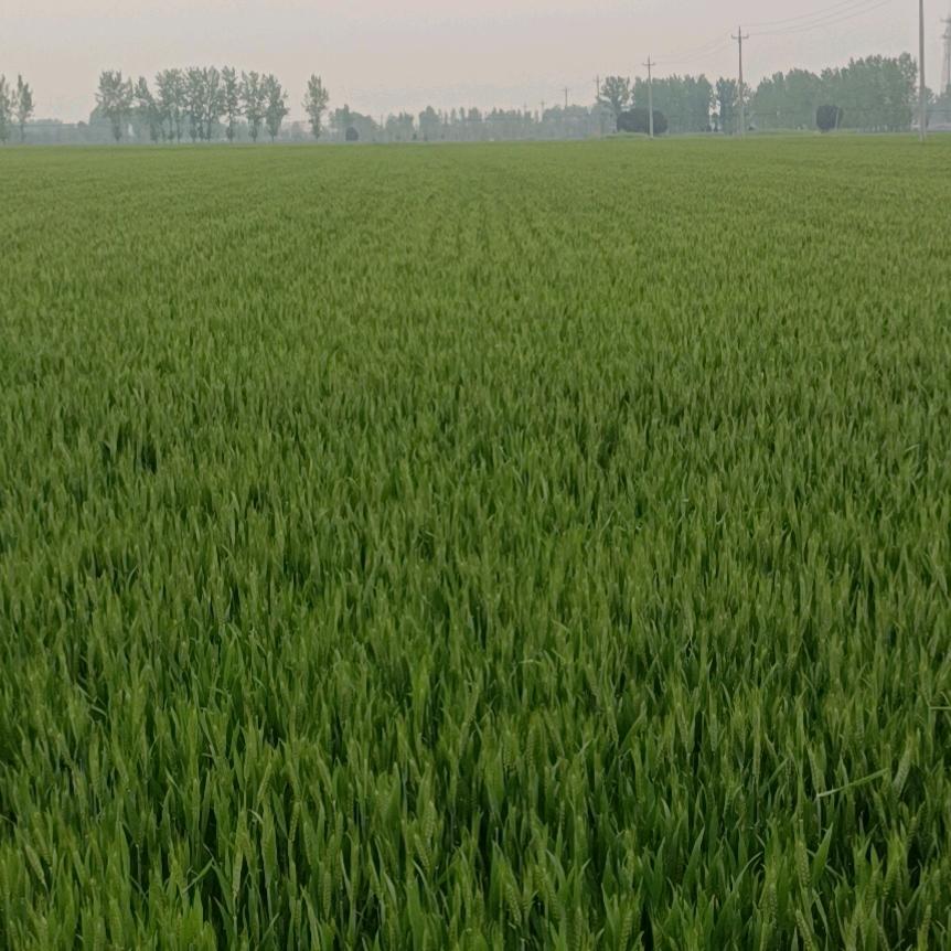 相信自己