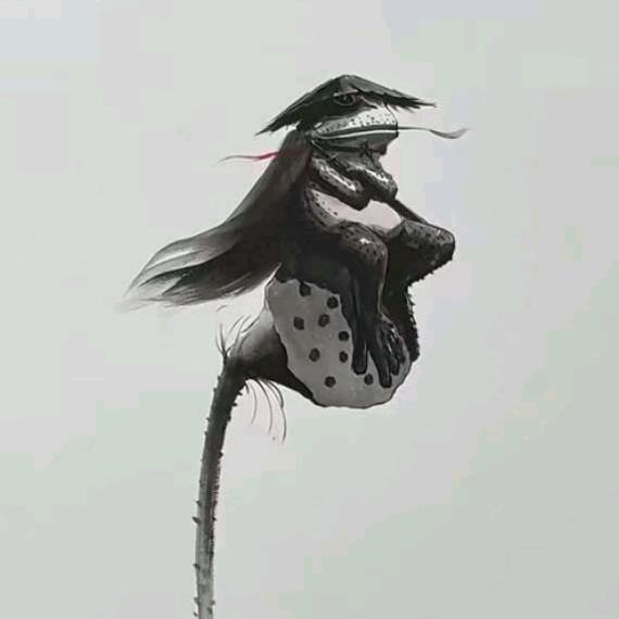 赖克宝、姚不要、切克闹